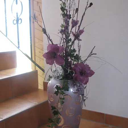 Haus Pfeifenberger Pensjonat