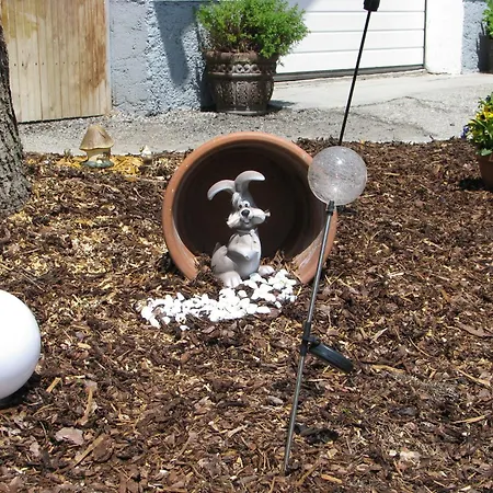 Gasthuis Haus Pfeifenberger