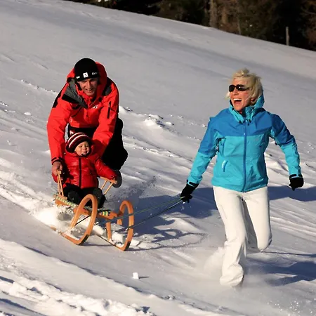 Haus Pfeifenberger Zederhaus