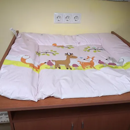 Pensjonat Haus Pfeifenberger Zederhaus