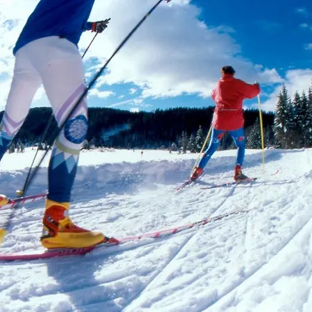 Haus Pfeifenberger 3* Zederhaus